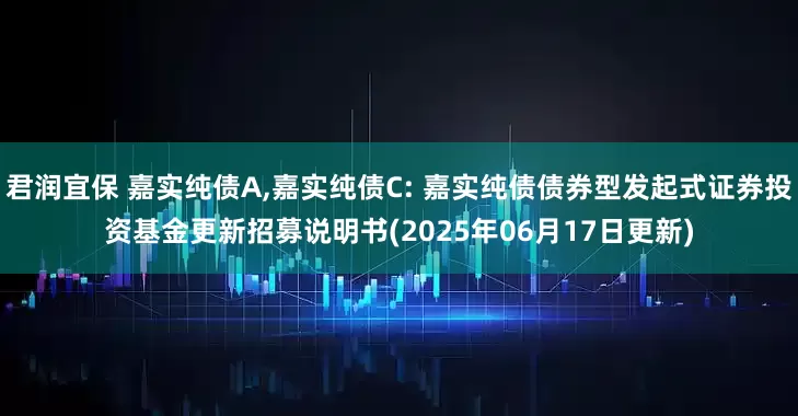 君润宜保 嘉实纯债A,嘉实纯债C: 嘉实纯债债券型发起式证券投资基金更新招募说明书(2025年06月17日更新)