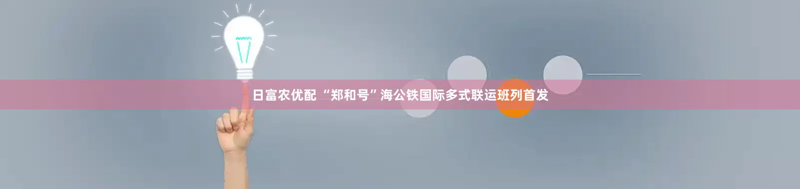 日富农优配 “郑和号”海公铁国际多式联运班列首发