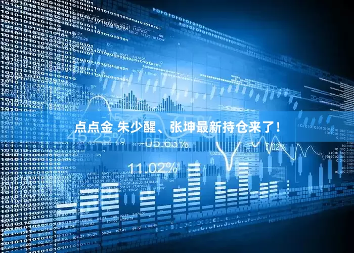 点点金 朱少醒、张坤最新持仓来了！
