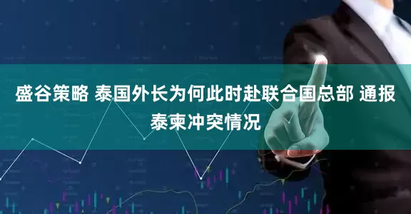 盛谷策略 泰国外长为何此时赴联合国总部 通报泰柬冲突情况