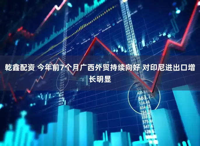 乾鑫配资 今年前7个月广西外贸持续向好 对印尼进出口增长明显