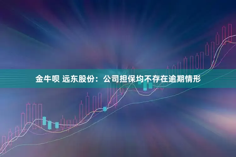 金牛呗 远东股份：公司担保均不存在逾期情形