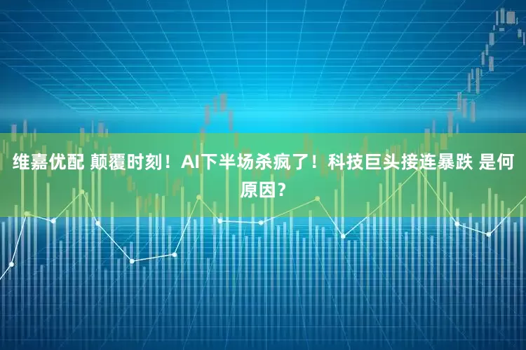 维嘉优配 颠覆时刻!AI下半场杀疯了!科技巨头接连暴跌 是何原因?